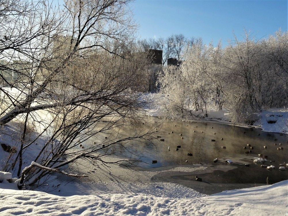 Photograph by Марина Раткун