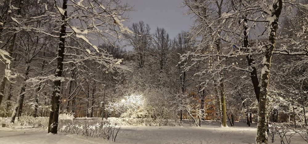 Фотография автора Ольга