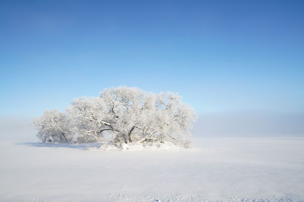 Photograph by Virginijus