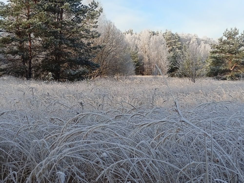 Photograph by Роман Шмаков