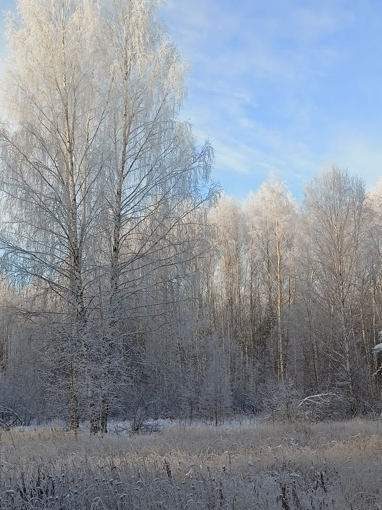 Photograph by Роман Шмаков