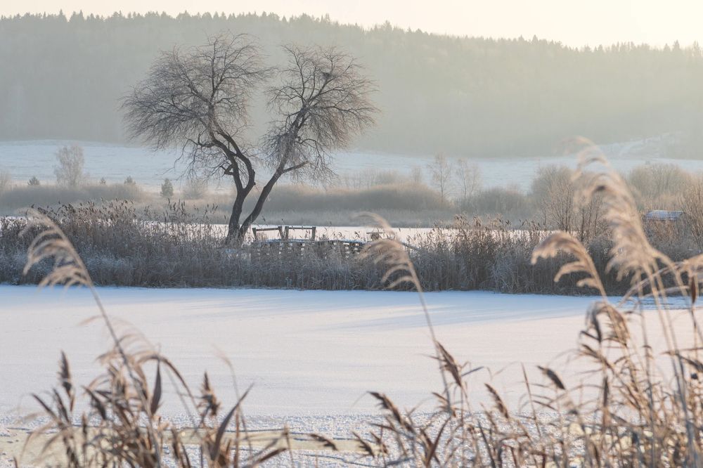 Photograph by Aleksei Utkin