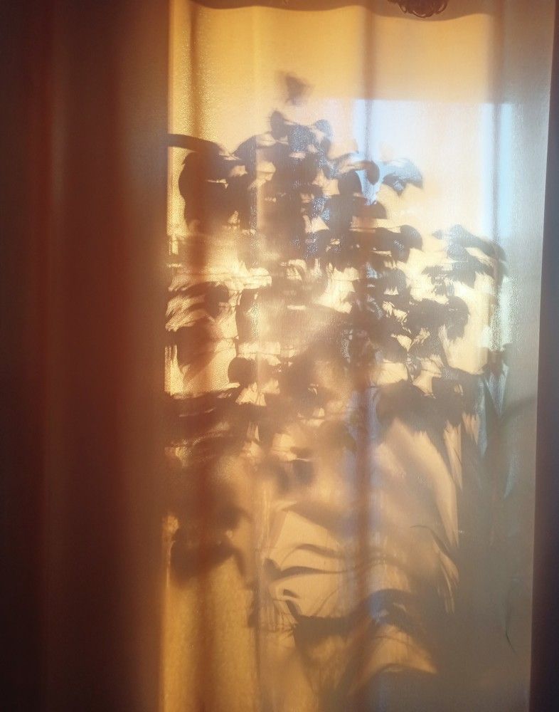 Photograph by Елизавета Мишина