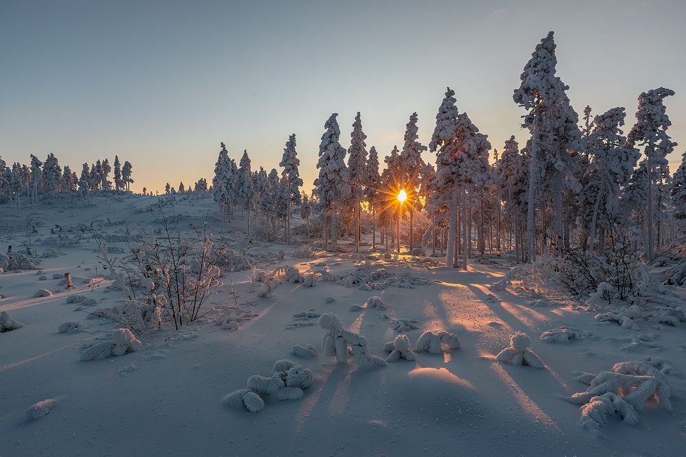 Photograph by Зарышнюк Роман