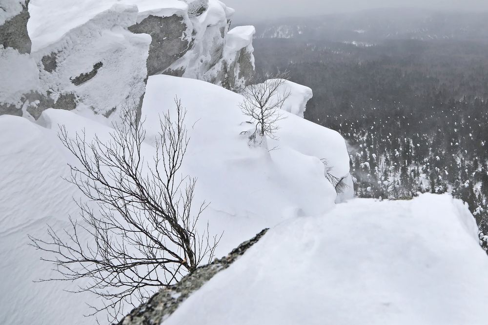 Photograph by Aleksei Utkin