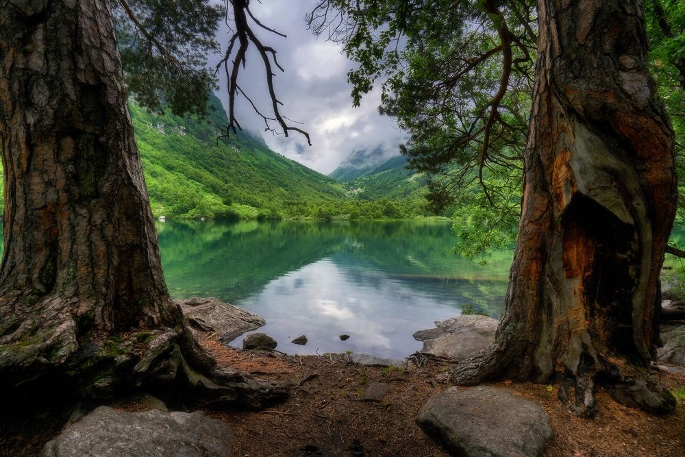 Photograph by Чевтаев Егор