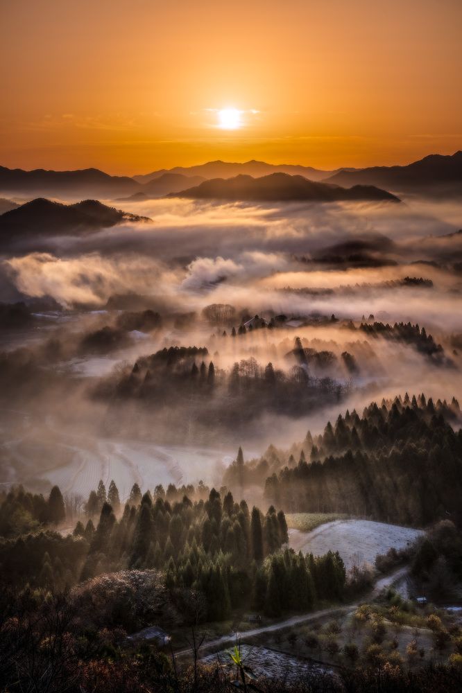 Photograph by Matsubara Hiroki