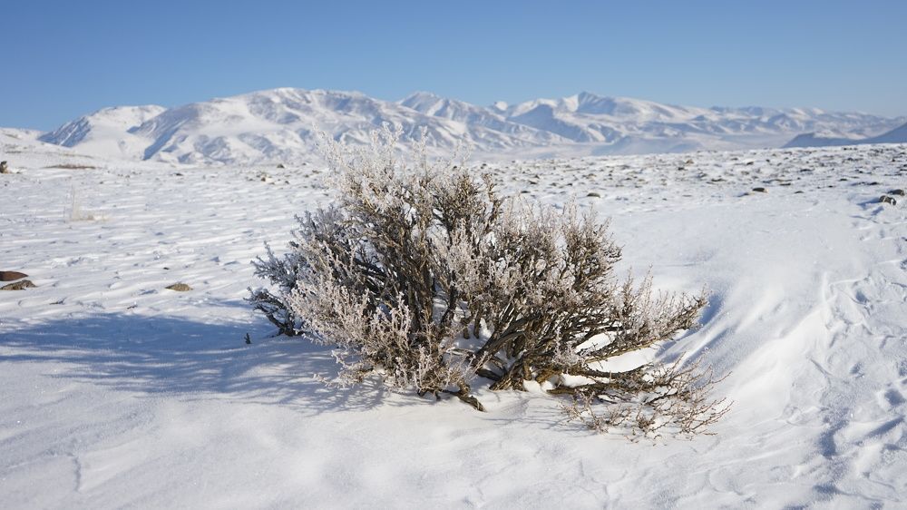 Фотография автора Сова Елена