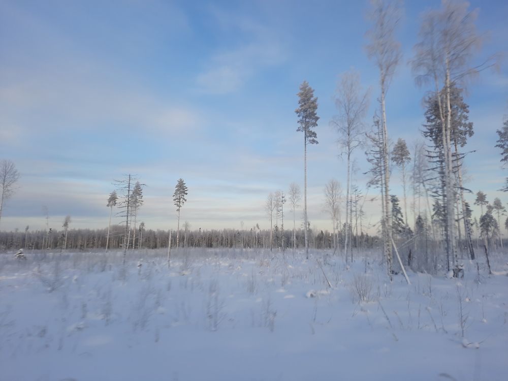 Photograph by Александр Зуев