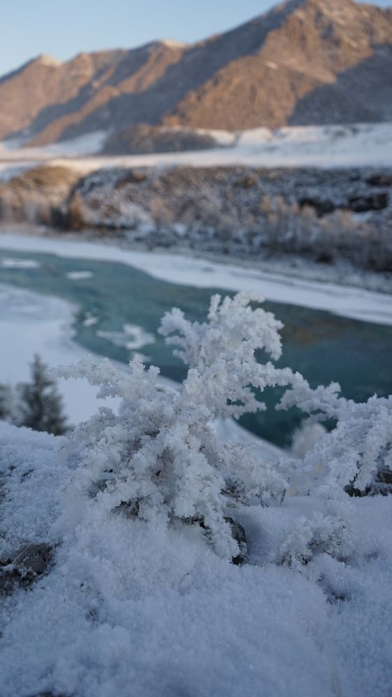 Фотография автора Сова Елена
