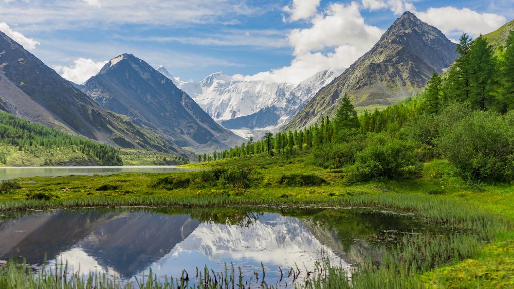 Фотография автора Сова Елена