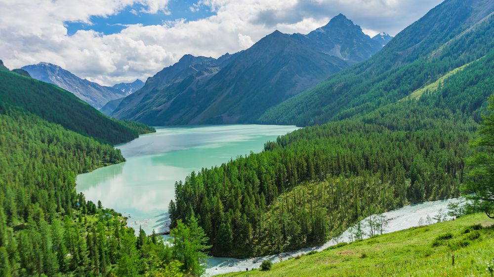 Фотография автора Сова Елена