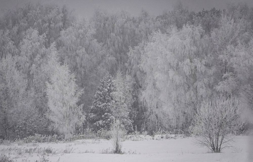 Фотография автора Анна Лукьянчикова