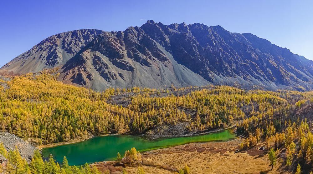 Фотография автора Сова Елена