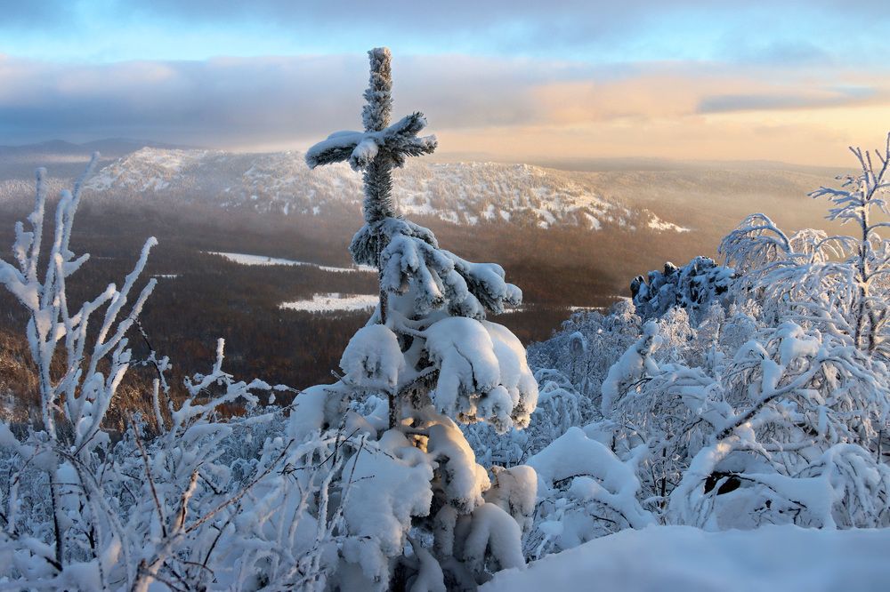 Photograph by Галина Ильясова