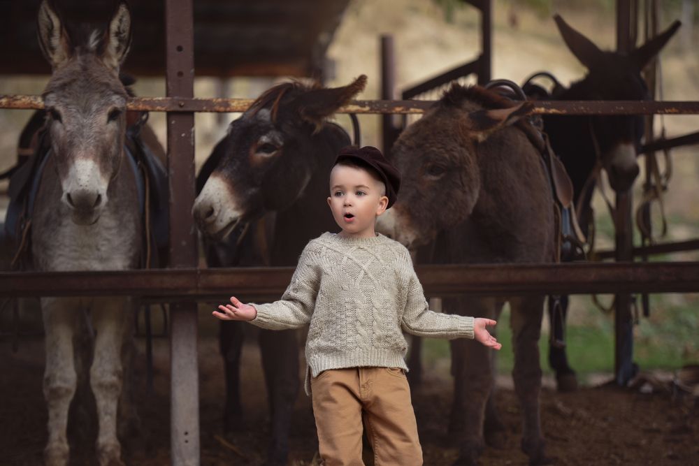 Photograph by Заручевская Надежда