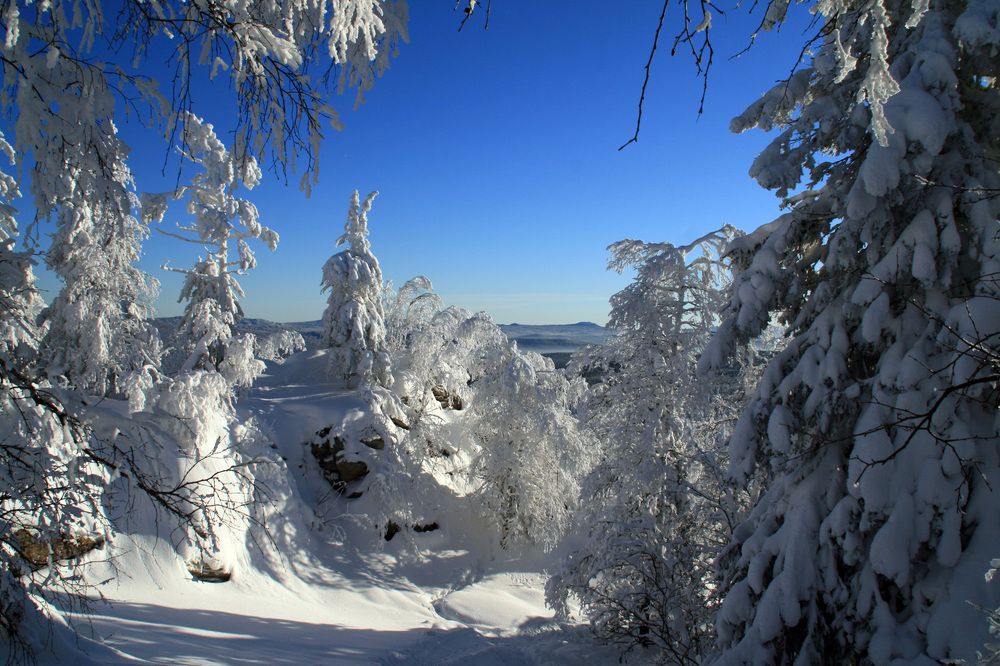 Photograph by Галина Ильясова