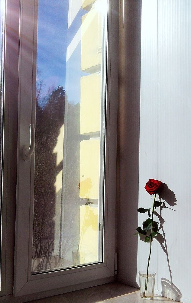 Photograph by Ирина Корнева