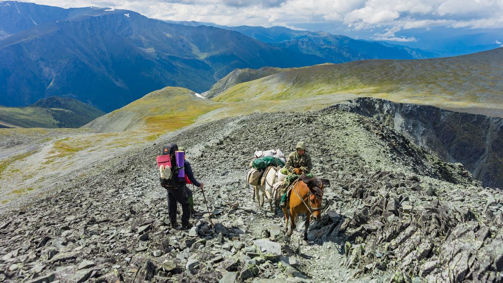 Фотография автора Сова Елена
