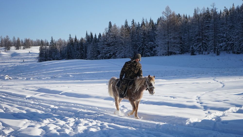 Фотография автора Сова Елена