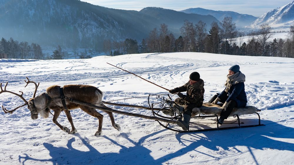 Фотография автора Сова Елена