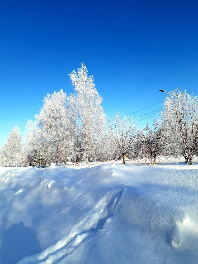 Природа под снегом.