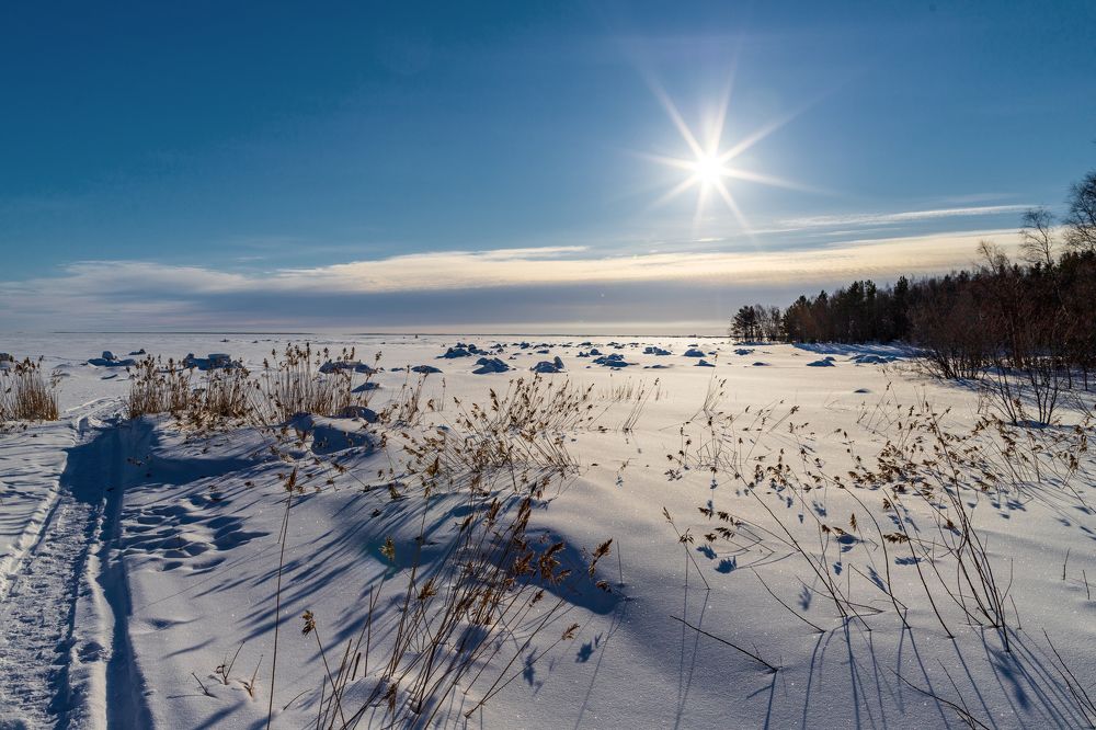 Photograph by Роман Дудкин