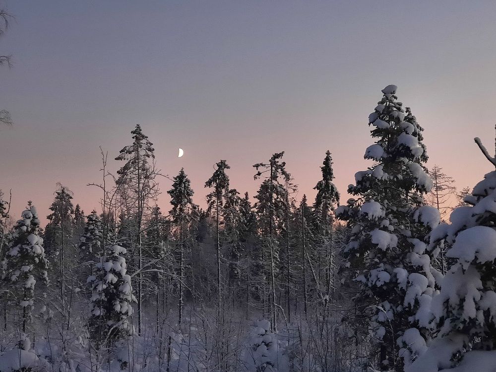 Photograph by Александр Зуев