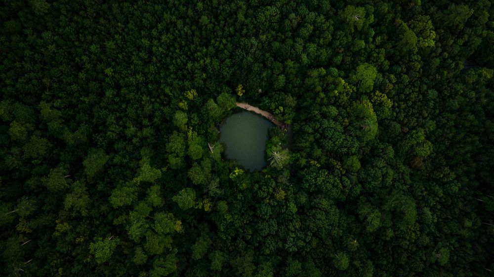 Photograph by Александр Кислов