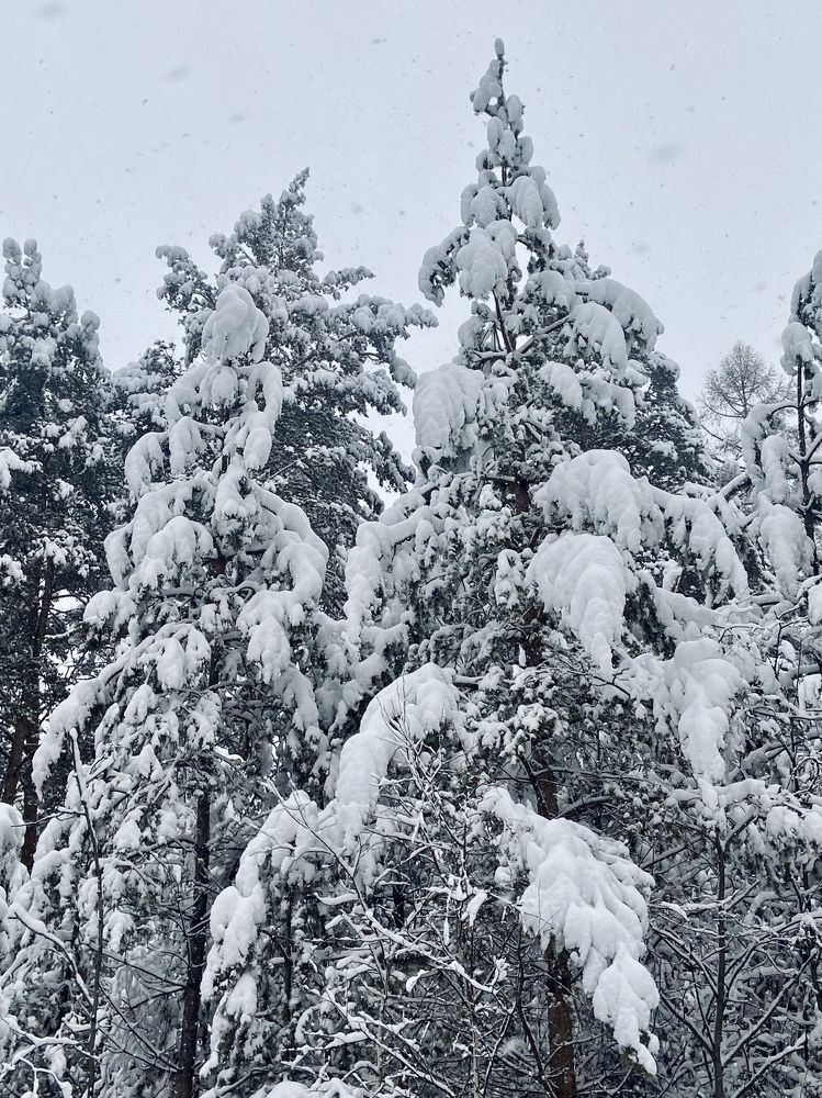 Photograph by Лазарева Анна Игоревна