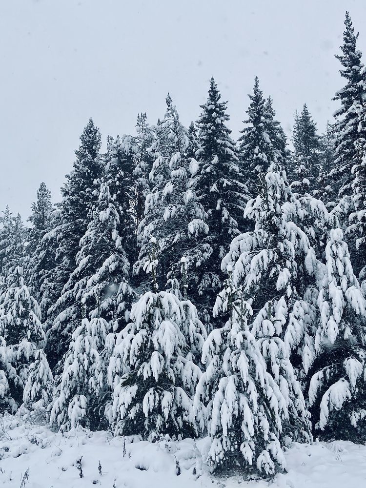 Photograph by Лазарева Анна Игоревна