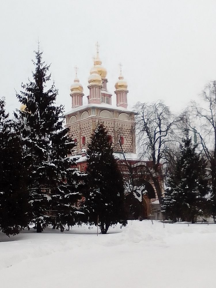 Photo #8491556
