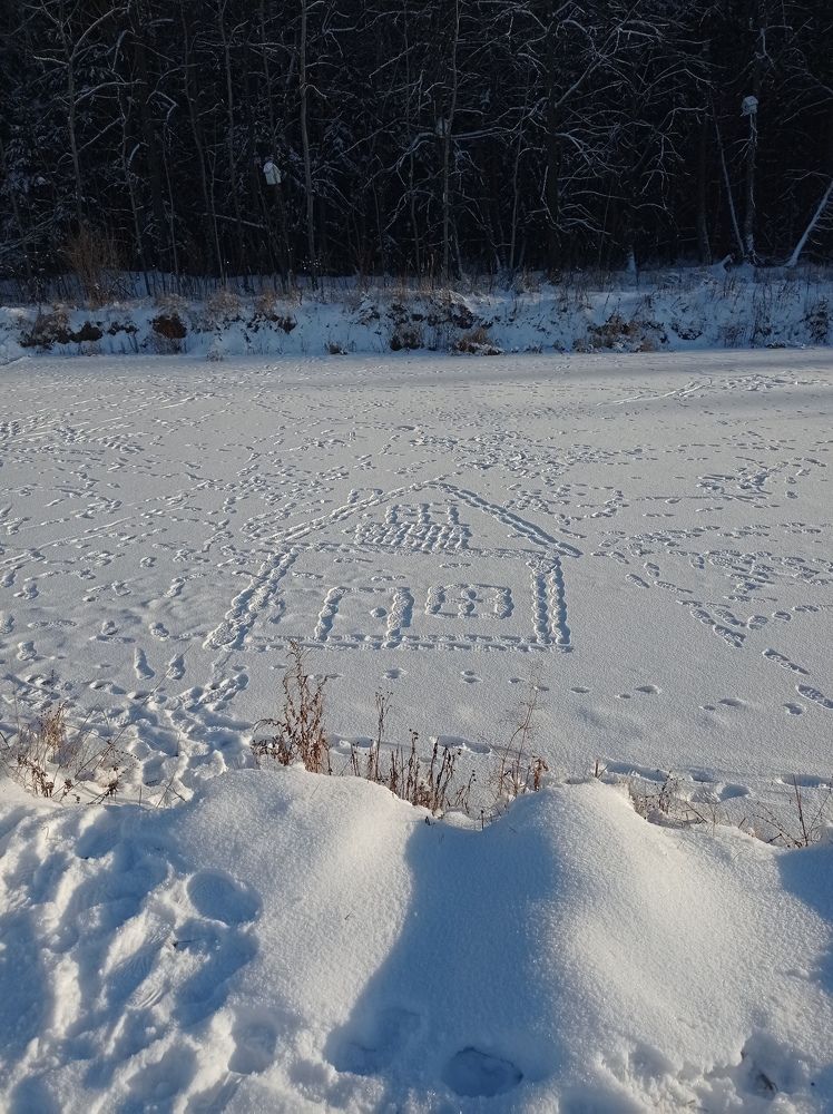 Фотография автора Галина Полякова