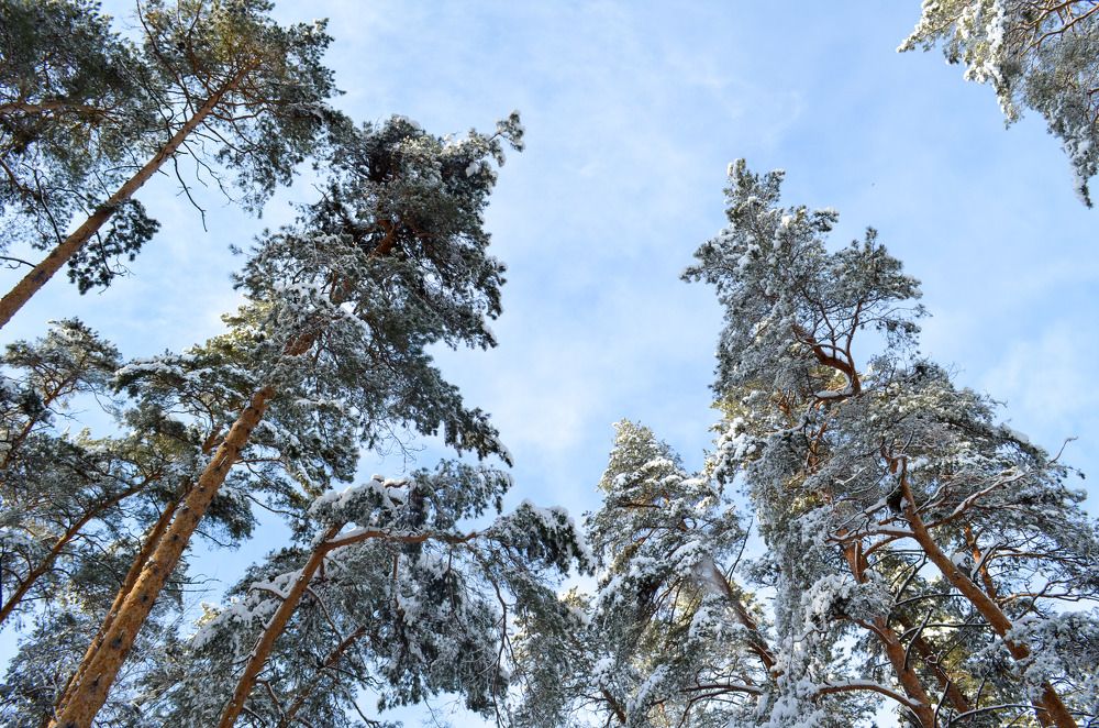Там высоко!