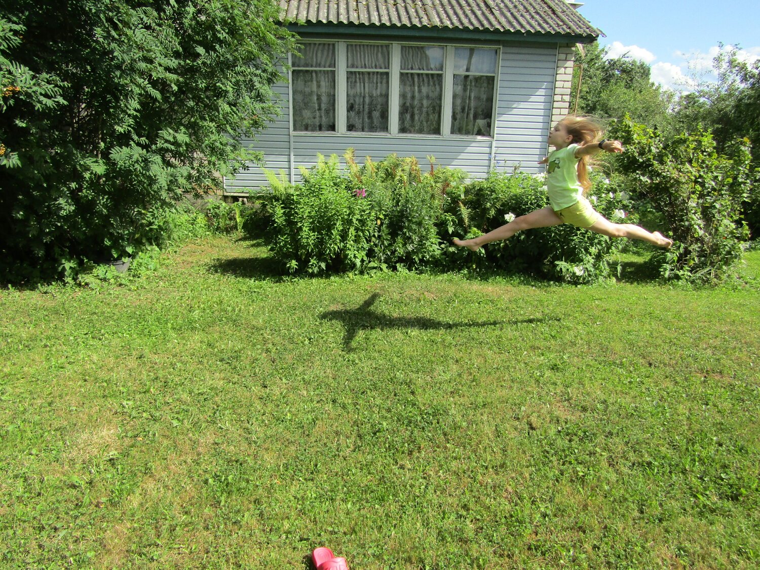 Photo #8491676