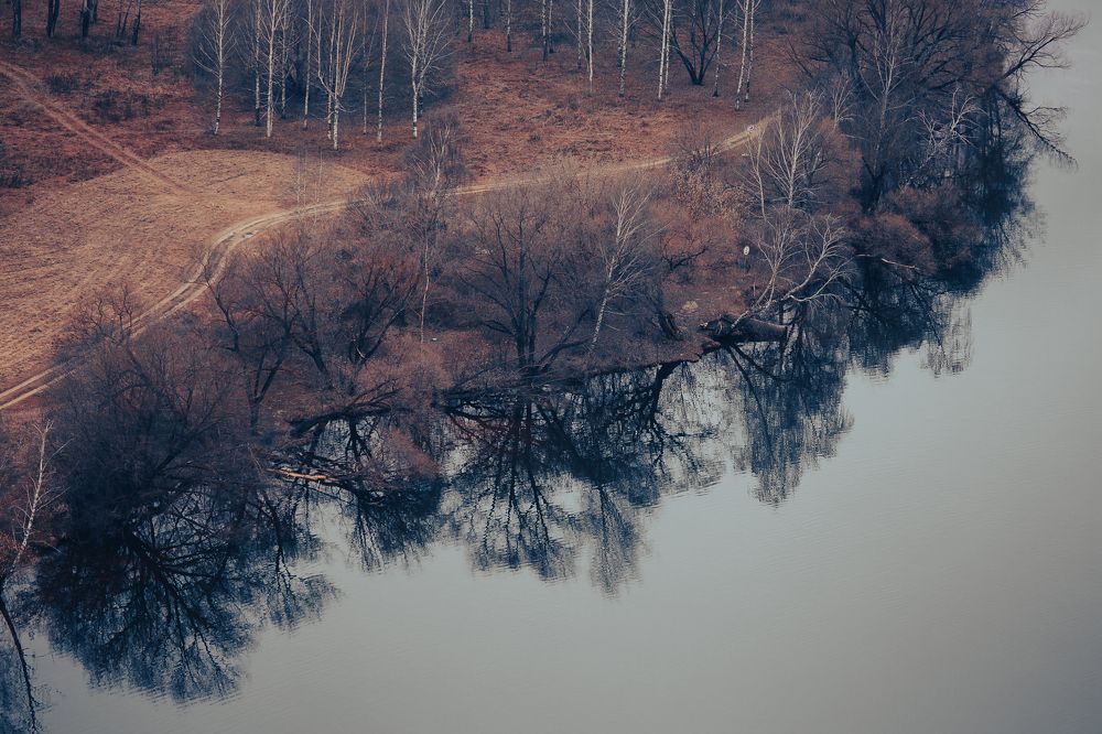 Фотография автора Алексей Звягинцев
