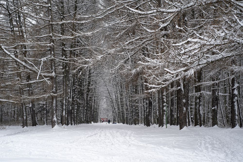 Photograph by Anatoly Lunov