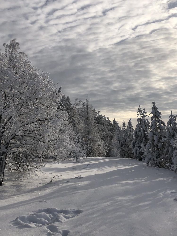 Photograph by Екатерина Усольцева