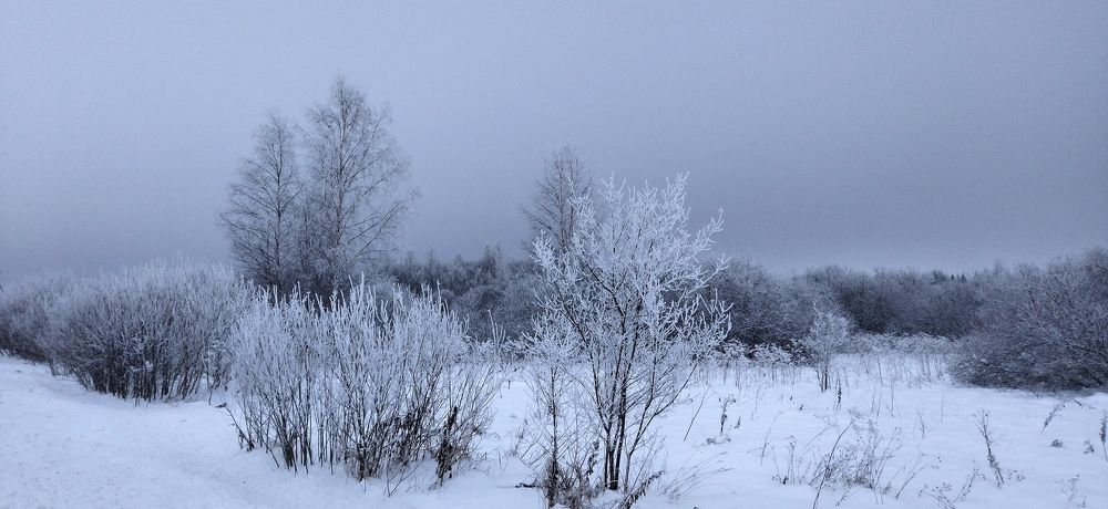 Зимняя буря