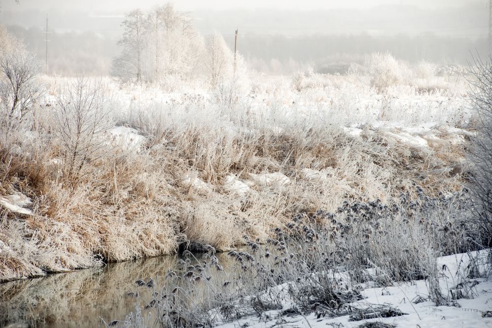 Photograph by Константин Пухов