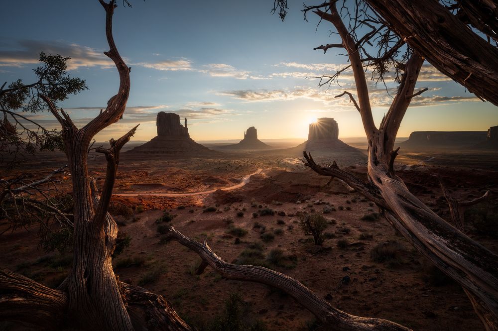 Photograph by Stefano Balma