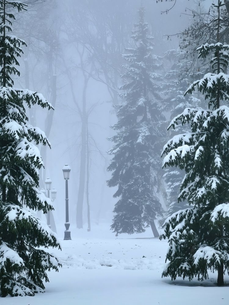 Photograph by Алексей Тарасов