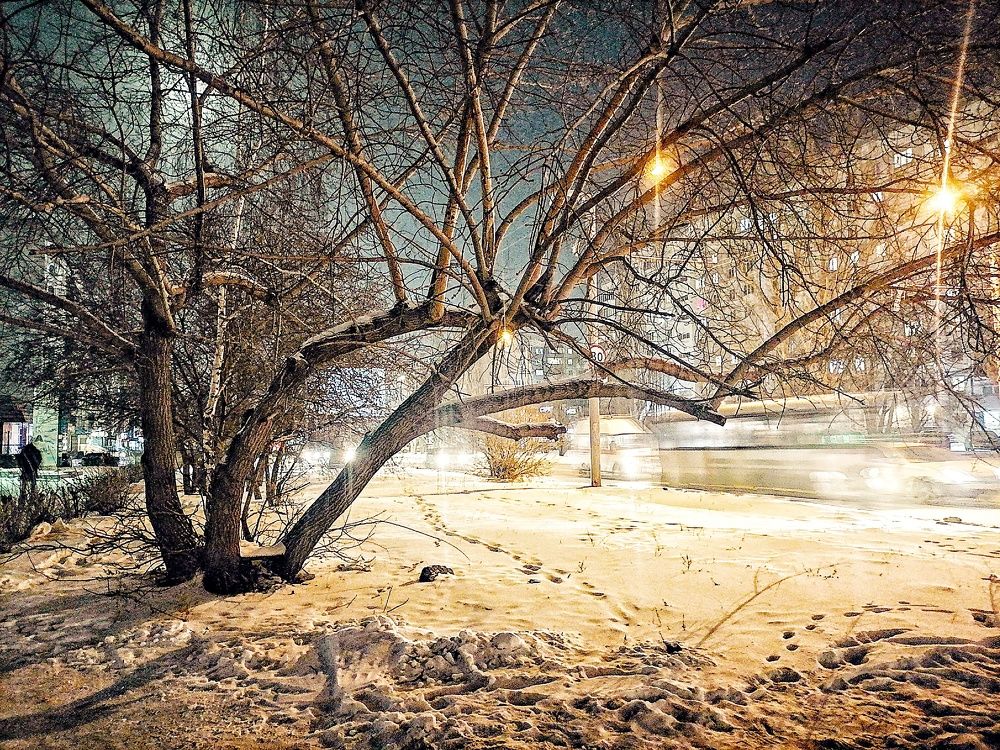 Photograph by Наталья Веряскина