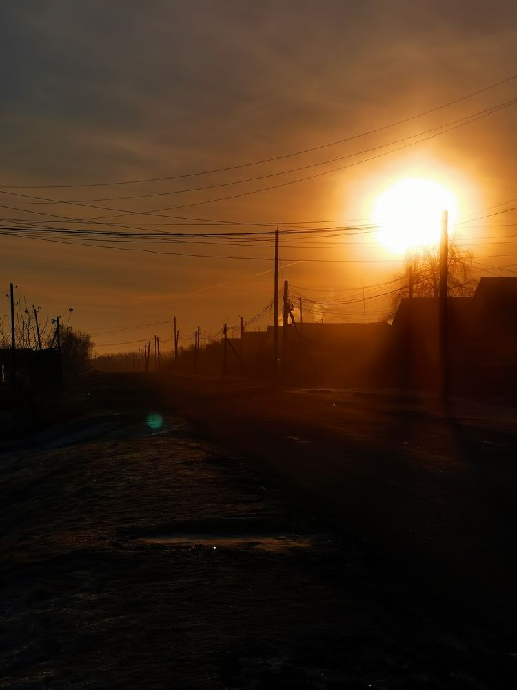 Photo #8491918