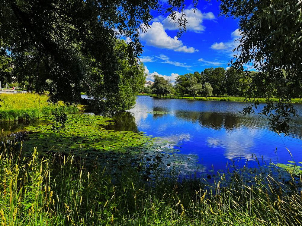 Озеро ... Демьяна Бедного - Луначарского...!