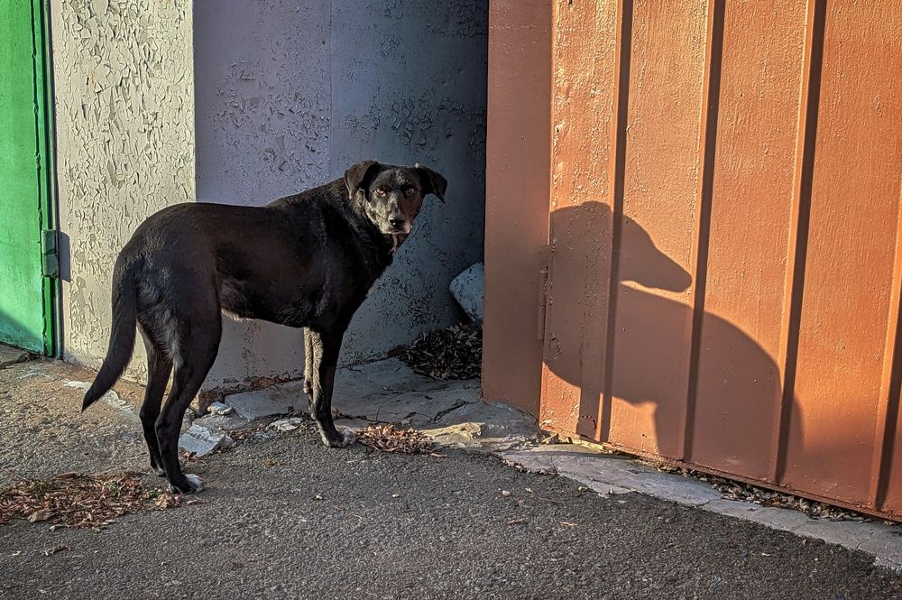 Photograph by Елена Николаева