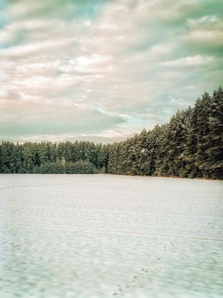 Photograph by Сергей Плюто