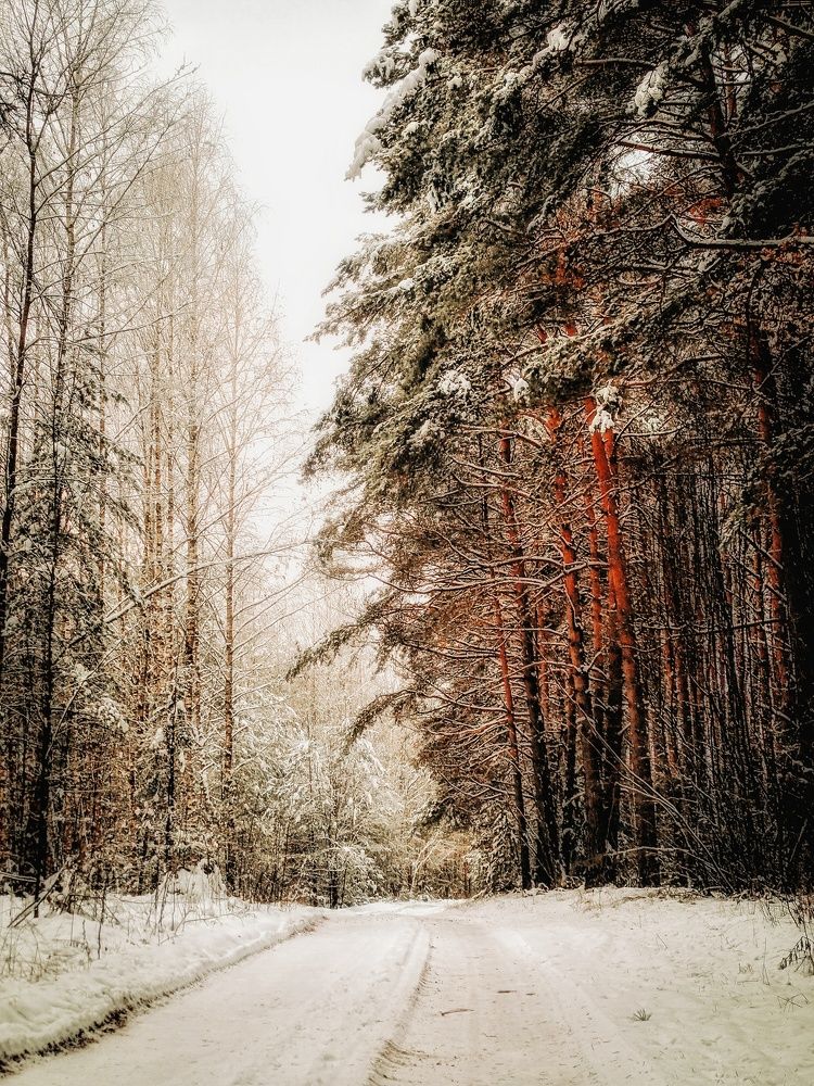 Photograph by Сергей Плюто