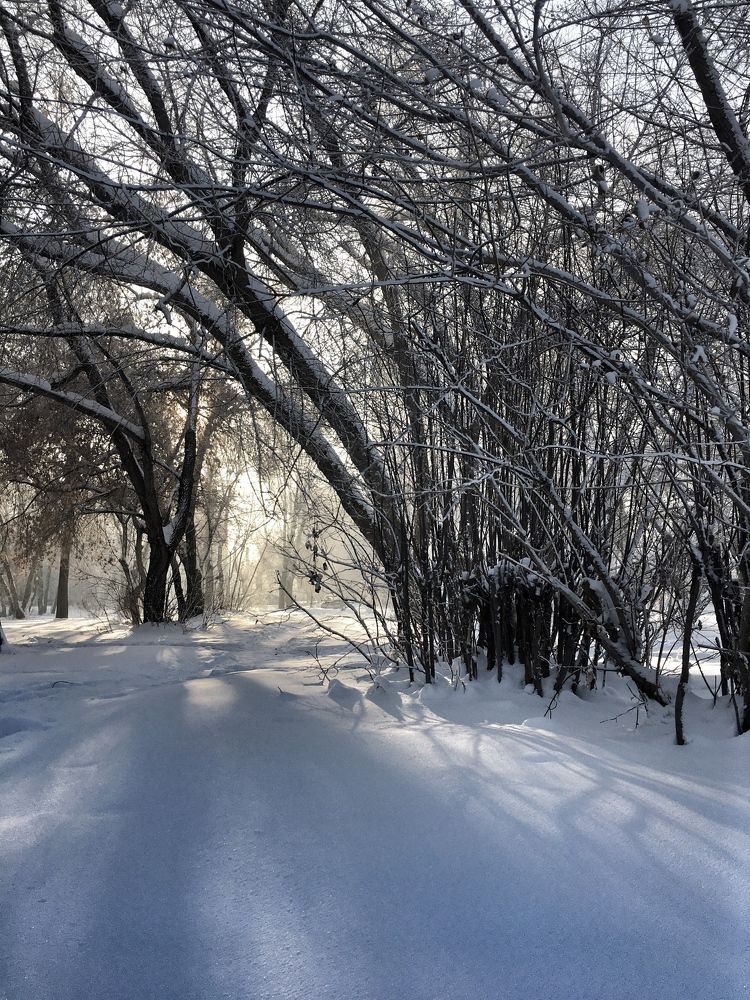 Photograph by Татьяна Галаева