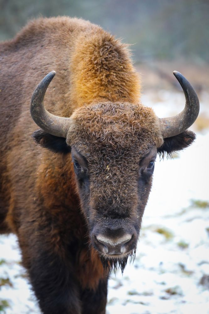 Photograph by Светлана Солдатченкова